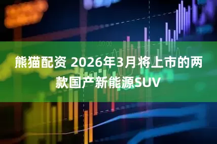 熊猫配资 2026年3月将上市的两款国产新能源SUV